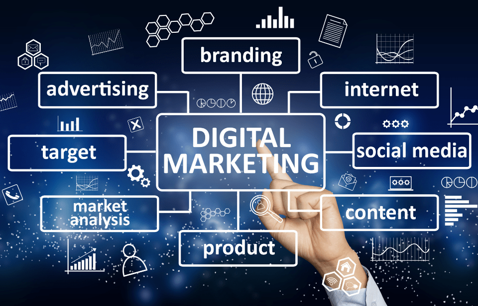 Digital Marketing Company in Kala Amb